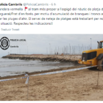 La presència de rates mortes obliga impedir el bany temporalment a la platja de Vilafortuny