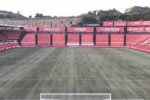 La gespa del Nou Estadi es prepara per als mesos d’hivern