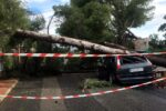 El temporal tomba desenes d’arbres en una urbanització dels Pallaresos