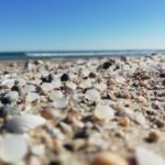 Mediterrània denuncia al Seprona l’acumulació d’esferes de polietilè a la platja de La Pineda