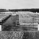L’Ajuntament publica on line la llista de deportats als camps nazis, on van morir 17 tarragonins