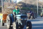 Tractorada de l’avellana