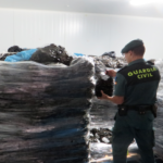 La Guàrdia Civil de Tarragona detecta 11.300 kg de musclos grecs sense l’etiquetatge legal