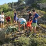 El grup Scout Àguiles d’Alacant neteja els espais verds del cap Salou de la planta ungla de gat