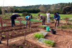 Altafulla obre les inscripcions per les activitats per a la gent gran del municipi