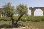 Munten una ruta cicloturística centrada en l’oli del Baix Camp