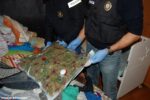 Desmantellen un cultiu de marihuana en una casa ocupada de Roda on hi vivien quatre menors