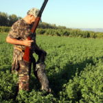 Els caçadors de Tarragona alerten del creixement de la fauna cinegètica pel confinament