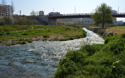 Com donar cabdal al Francolí i gestionar l’espai del riu, a debat al Port de Tarragona