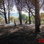 Els bombers estabilitzen l’incendi de l’Alforja que ha cremat uns 1.600 m2 de sotabosc