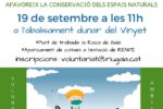 La campanya ‘Let’s clean up Europe’ i les visites a la vil·la romana dels Munts, actes de cap de setmana a Altafulla