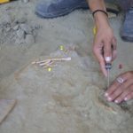 Les excavacions al barranc de la Boella permeten recuperar eines i restes esquelètiques de fa prop d’un milió d’anys