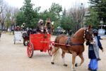 Els Reis Mags d’Orient arriben a Reus i acampen al parc de Sant Jordi fins al 5 de gener