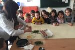 Els escolars de La Secuita només mengen productes de proximitat, carn halal i fets al moment