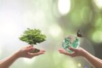 Afepasa, medalla d’or d’EcoVadis en sostenibilitat