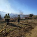 Quatre incendis de vegetació al Camp de Tarragona