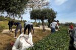 Preinscripció escolar oberta per formar en Auxiliar de Vivers i Jardins a Altafulla