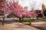 Tarragona crea un mapa d’espais verds de la ciutat que localitza els parcs i jardins urbans i els espais d’interès natural