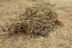 Mont-roig inicia una projecte per transformar les restes de poda i fracció vegetal en estella
