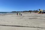 El Port de Tarragona finalitza amb èxit les tasques per a la regeneració de la platja de La Pineda