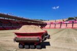 La gespa del Nou Estadi es prepara per a l’hivern