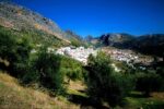 Roda de Berà s’agermana amb el poble malagueny de Benaoján