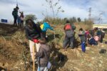 La Canonja organitza una plantada d’arbres i altres activitats a la Riera de la Boella