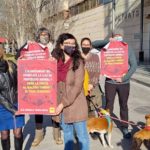 La CUP denuncia als jutjats al govern de Reus per mala praxis al control de colònies de coloms urbans