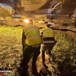 Mossos i Policia Local de Cambrils detenen quatre persones i desmantellen una plantació de marihuana