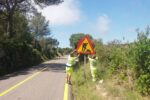 La Diputació inicia la remodelació de la carretera de Tarragona al Catllar