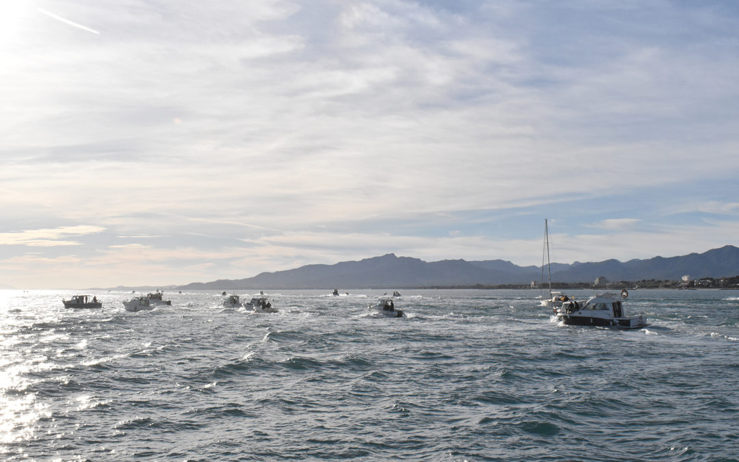 Rècord de participació al 10è concurs de pesca del calamar del CN Cambrils