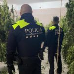 L’alerta veïnal aconsegueix caçar una plantació de marihuana al barri Gaudí
