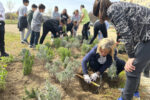 300 nois i noies de Tarragona ‘planten un arbre per Europa’