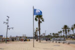 La Bandera Blava ja oneja a la platja de la Pineda