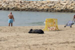 El cadàver trobat a la platja de Roda de Berà seria el d’una nena d’uns sis mesos