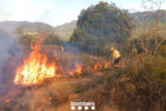 Controlen un foc en una zona de matolls i oliveres a l’Alforja