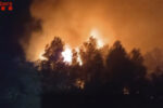 Tretze dotacions de Bombers continuen treballant en un incendi a Mont-roig, ja estabilitzat