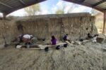 Descobreixen eines de pedra i animals de fa 1 milió d’anys al jaciment del Barranc de la Boella