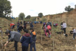 La Canonja organitza una planta d’arbres a la Riera de la Boella