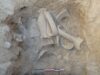 Noves troballes de ceràmica i murs al jaciment romà de La Secuita