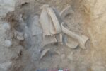 Noves troballes de ceràmica i murs al jaciment romà de La Secuita