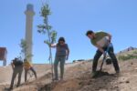 El CAT organitza una plantada d’arbres per commemorar el Dia Mundial del Medi Ambient