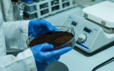 Una recerca de la URV transforma el marro del cafè en bioplàstics