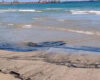 Una taca de carbó en suspensió alerta els banyistes de la platja de la Pineda
