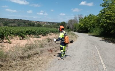 Els plans d’ocupació de la Diputació donen feina a 50 persones arranjant espais naturals i urbans