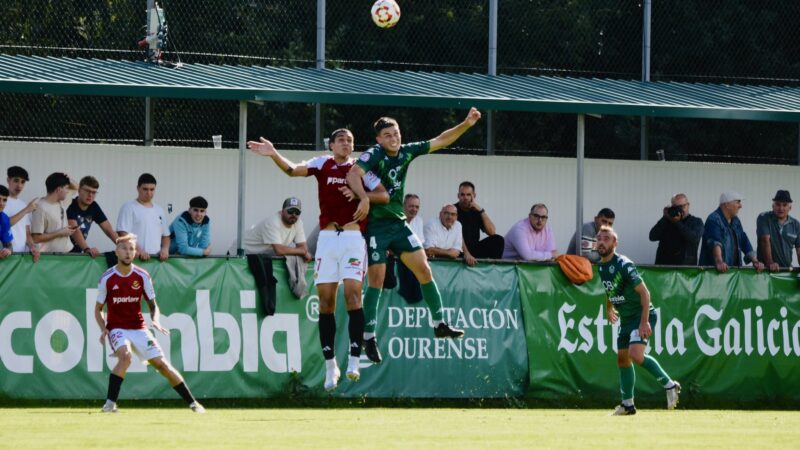 Empanada gallega (4-0)