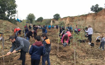 La Canonja organitza una plantada d’arbres popular a la riera de la Boella