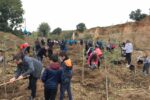 La Canonja organitza una plantada d’arbres popular a la riera de la Boella