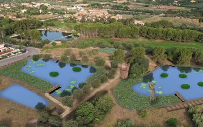 Reus crearà tres basses per a ocells, amfibis i per la flora