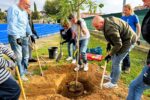 Torredembarra planta un centenar d’arbres i arbustos per promoure la biodiversitat